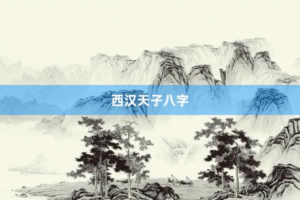 西汉天子八字